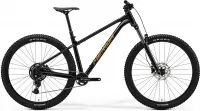 Велосипед 29" Merida BIG.TRAIL 300 (2026) black