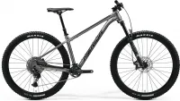 Велосипед 29" Merida BIG.TRAIL 600 (2024) silk gunmetal grey