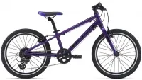 Велосипед 20" Giant ARX (2021) purple