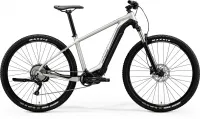 Електровелосипед 29" Merida eBIG.NINE 400 (2020) matt titan / black