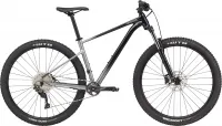 Велосипед 29" Cannondale Trail SE 4 (2022) grey