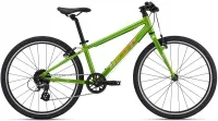 Велосипед 24" Giant ARX (2025) metallic green