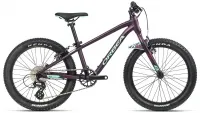 Велосипед 20" Orbea MX 20 TEAM purple matte