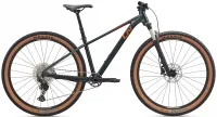 Велосипед 29" Liv Tempt 0 (2026) asphalt green