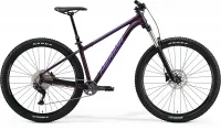 Велосипед 29" Merida BIG.TRAIL 400 (2023) silk dark purple