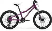 Велосипед 20" Merida MATTS J.20 (2023) purple
