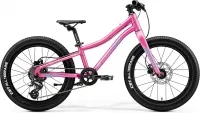 Велосипед 20" Merida Matts J.20 PLUS Lady (2020) silk candy pink (purple / blue)