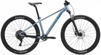 Велосипед 29" Liv Tempt 2 (2026) frost silver