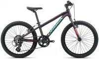 Велосипед 20" Orbea MX 20 Dirt (2020) Purple-Pink